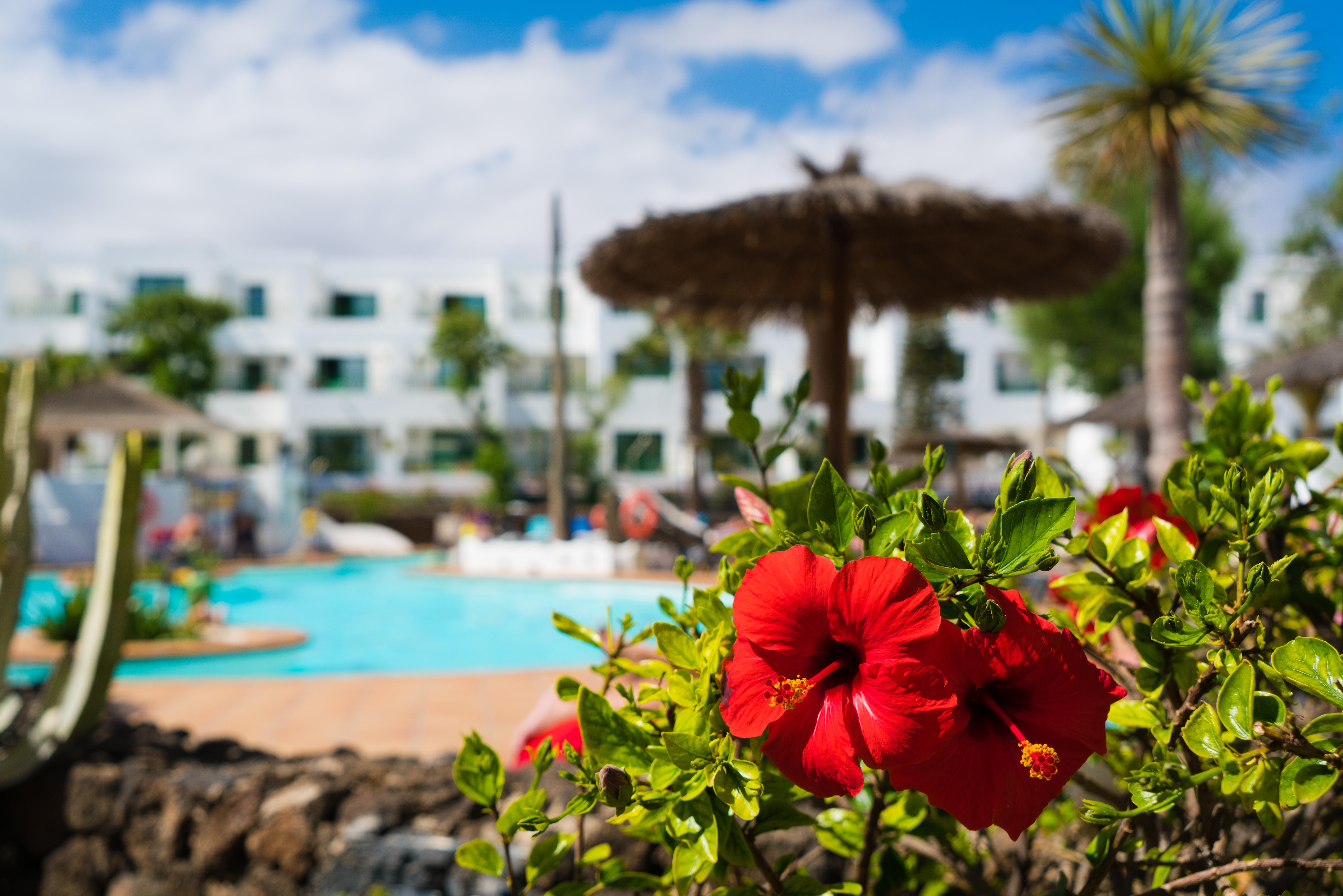 Apartamentos Galeon Playa Costa Teguise Exterior foto